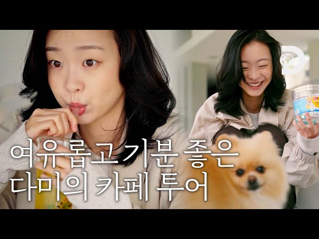 알고보니 다미는 에이드 덕후? 감성갬성 분위기 가득한 카페에서 힐링하고 …