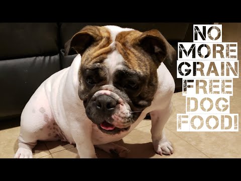 download lagu mp3 mp4 Best Dog Food For Sensitive Stomach English Bulldog, download lagu Best Dog Food For Sensitive Stomach English Bulldog gratis, unduh video klip Best Dog Food For Sensitive Stomach English Bulldog