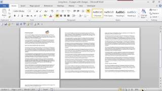 Way to Shrink a Whole Page on Word : MS Word Skills