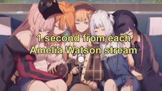 [Vtub] Ame 阿梅每場直播中的一秒鐘