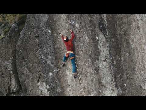 E11 LEXICON - STEVE'S HUGE WHIPPER