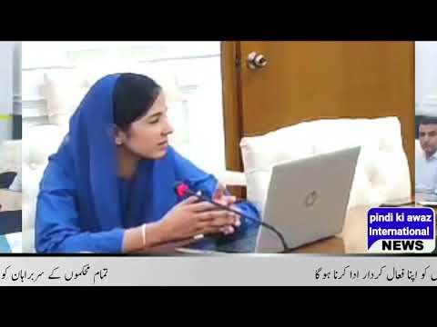 Syed Nizarat Ali responsibilities include