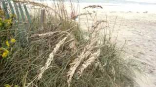 Love Goes Home to Paris in the spring 3