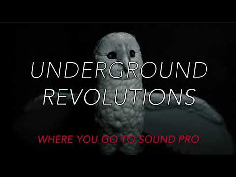 Promotional video thumbnail 1 for Underground Revolutions