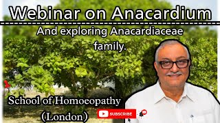Dr Farokh Master's webinar on Anacardium and exploring anacardiaceae family | MM through experience.