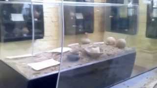 preview picture of video 'Tangarará, Museo de Arqueolgía e Historia.'