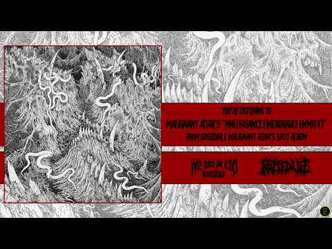 Ω Malignant Altar - Malfeasance Inexorable Enmity Ω [Me Saco un Ojo Records/Rotted Life, 2022]