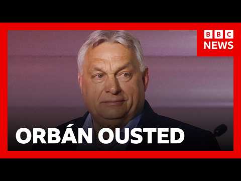 Hungary's PM Viktor Orbán concedes election to challenger Péter Magyar | BBC News