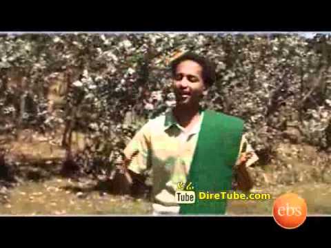 mandefro kasa kewolo