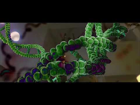 Chillah - Edible ft. Dizzle Inks  (Music Video)