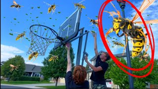 Removing a WASP NEST MQDEFAULT Thumbnail