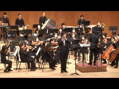 피콜로 협연 - Csikos Post / 크시코스의 우편마차 - Hermann Necke