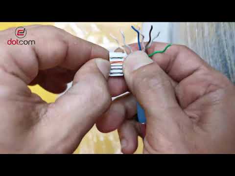 Optic Digital Cat6A Toolless Plug