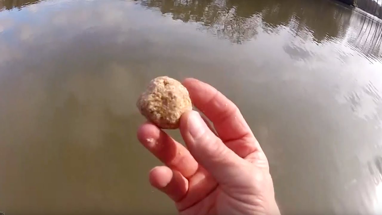 Cheap & Simple Fishing Groundbait - CATCH MORE FISH!