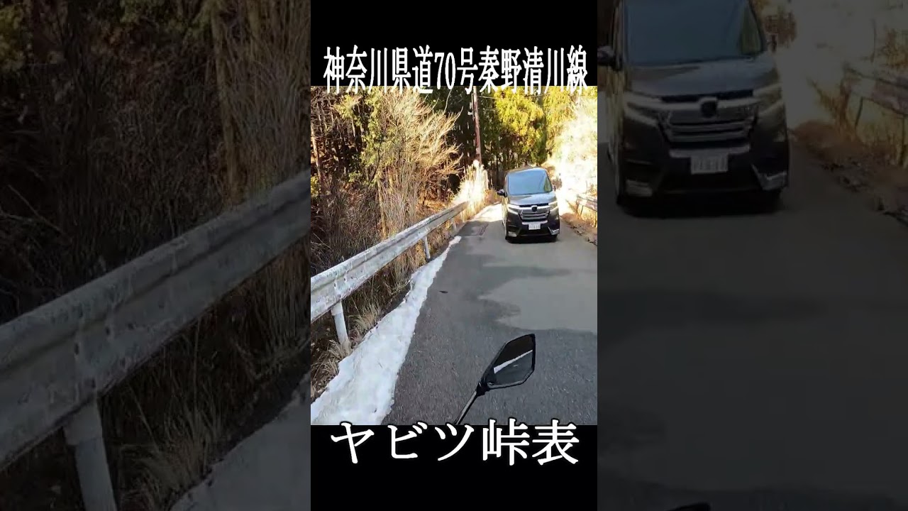 とある日ヤビツ峠に訪れるもだ・・・・