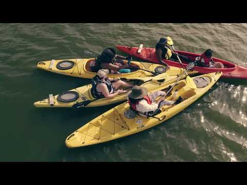 A Splash of Color: Getting Black in the Water (Trailer)