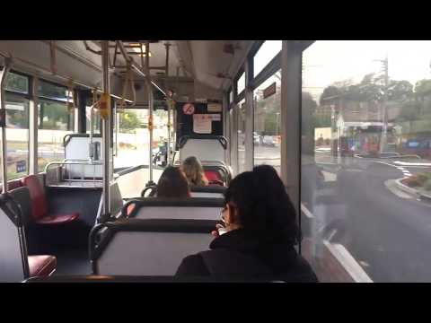 Punchbowl Bus Co. m/o 7658 - Scania L113CRL (cb60)