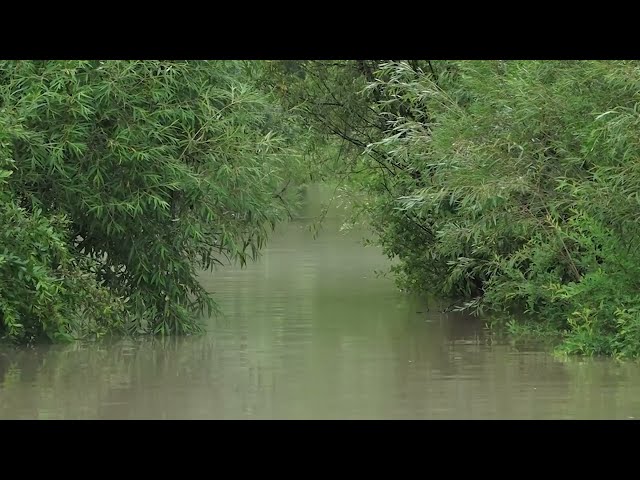 Уровень воды в Китое снова повышается