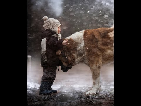 Elena Shumilova. Portraits of Childhood Magic. Canon EOS 5D Mark II.