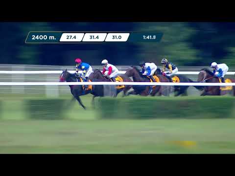 Nagroda Widzowa 10.06.2023 - (Dzień 12; Gonitwa 3)