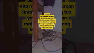 Download lagu Bicara Cinta sama orang tua #kehidupan #cinta #orangtua #bijak #katakatabijak #storywa #komunikasi mp3