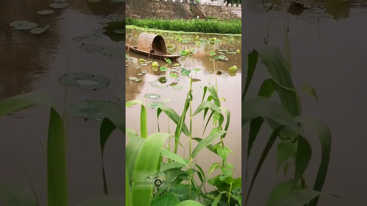 YouTube Short thumbnail