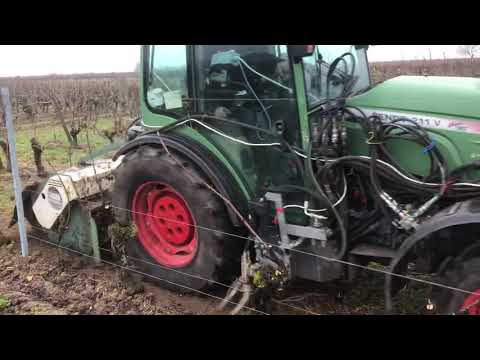 Provitis Vine Shoot Extractor