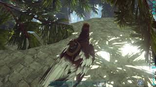 ARK 公式PVP  さな原人　参加自由