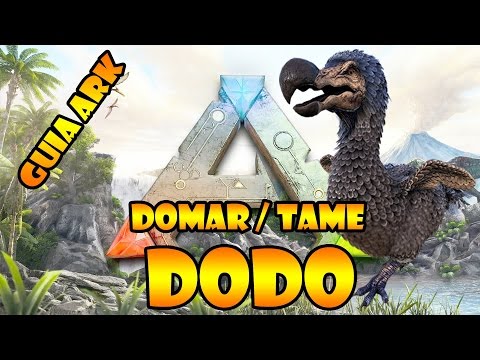 DOMAR / TAME Dodo