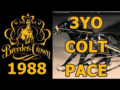 1988 Breeders Crown - Camtastic - 3YO Colt Pace