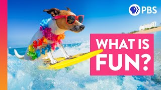 Why Are Things Fun?