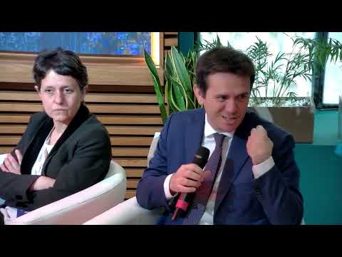 Plenaria Istituzionale - Mobilità Sostenibile e Smart Cities - 12 feb 25