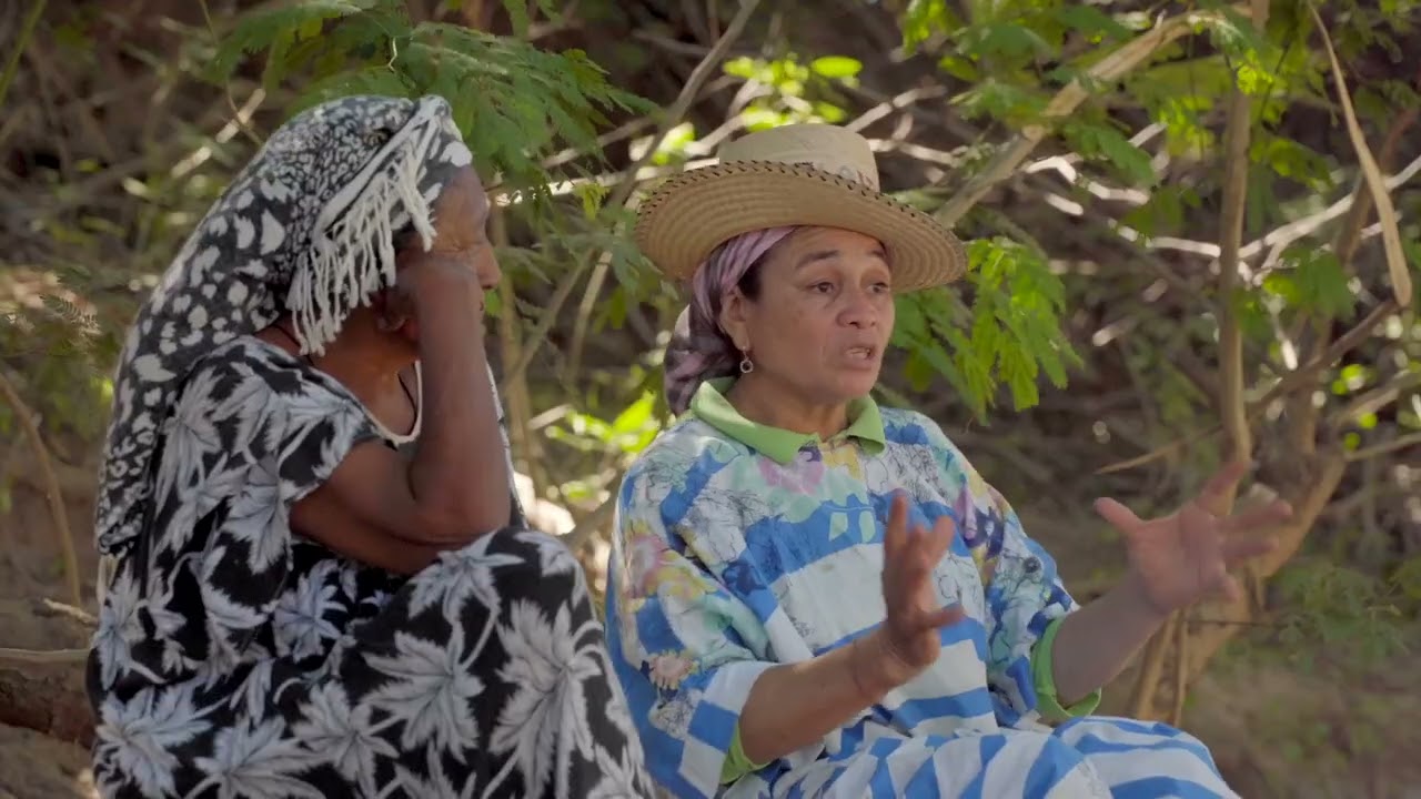 The Territory of Puloui