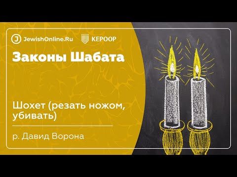Законы Шабата. Урок 72: Шохет (резать ножом, убивать)