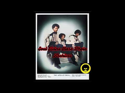 The Apollo Brothers ~ Shacking Up