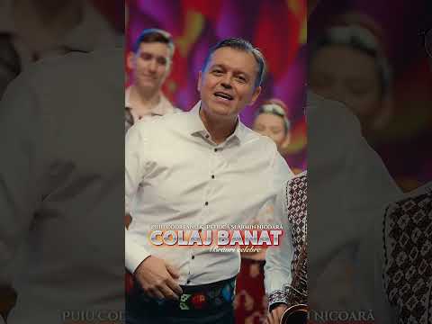 👆🏻 Puiu Codreanu & Petrică şi Armin Nicoară - Colaj Banat ( Brâuri celebre )