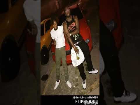 Kuttup bull x kuttup JB - Y.G.G.I