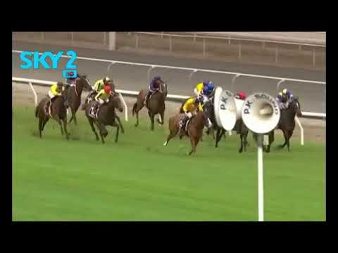 2020 MRC Matamata Breeders’ Stakes  ( Part Replay )
