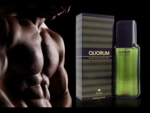Quorum By Antonio Puig Fragrance Review (1981)