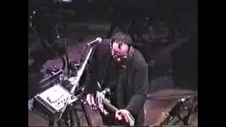 Elvis Costello 2002 - Honey, Are You Straight Or Are You Blind? / 45 / Brilliant Mistake