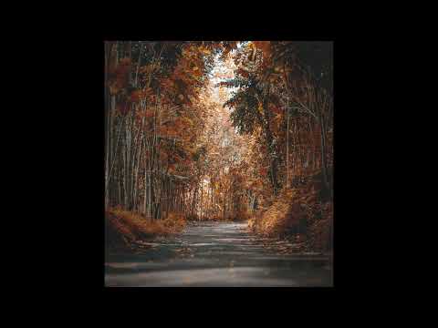 [FREE] midwest emo x guardin type beat | "bury"