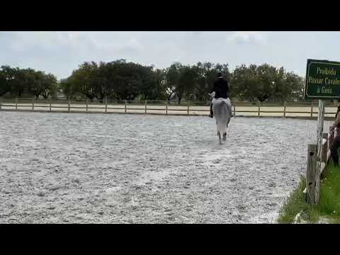 Mozart da Malhadinha