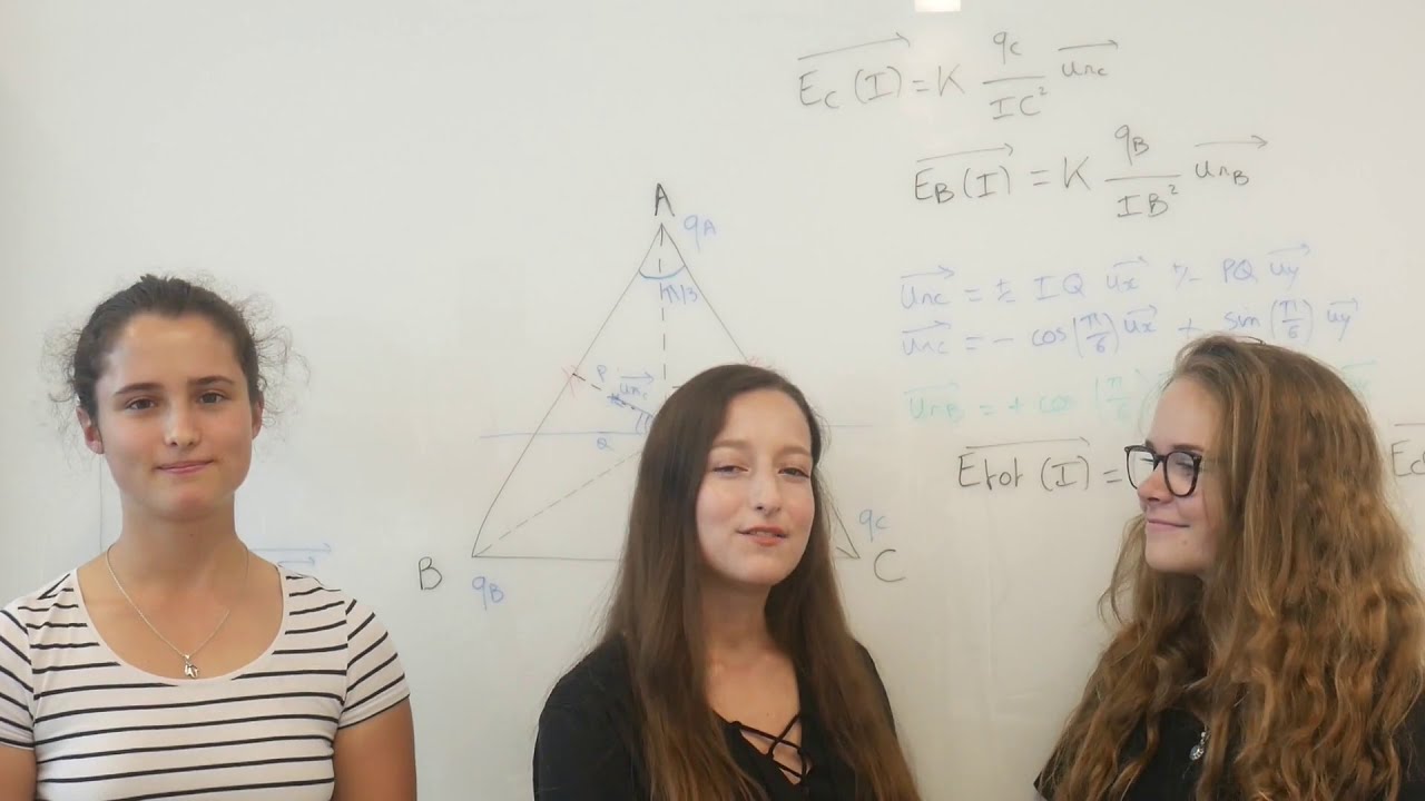 BIOPHYSIQUE_ELECTROSTATIQUE: Projection vectorielle