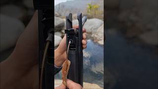 best Airgun of hunting #hunting #birdhunting #airgunhunting #huntingdog #duckhunting #birddog