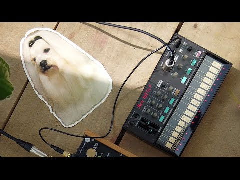 Synthstrom Deluge, Korg Volca FM & A Dog