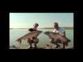 M R Tv Sarulesti Lake Romania Carp Fishing 2012