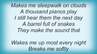 Ed Harcourt - Fireflies Take Flight Lyrics