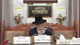 הרב שלמה בויאר | אקטואליה ופרשה | מוסאיוף (בית הכנסת מוסאיוף - ערוץ חדש) - התמונה מוצגת ישירות מתוך אתר האינטרנט יוטיוב. זכויות היוצרים בתמונה שייכות ליוצרה. קישור קרדיט למקור התוכן נמצא בתוך דף הסרטון