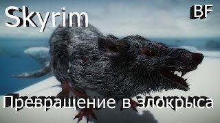 Секретная вырезанная способность ПРЕВРАЩЕНИЕ В ЗЛОКРЫСА | Skyrim | Секрет