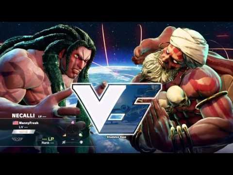 Necalli Corner 50/50